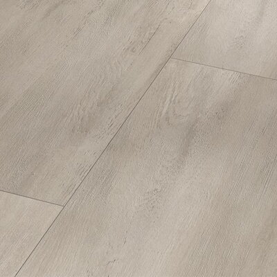 1743545 - Fusion grey