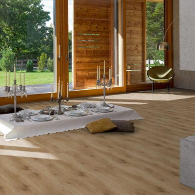 1593797 - Dub Horizont prírodný M4V