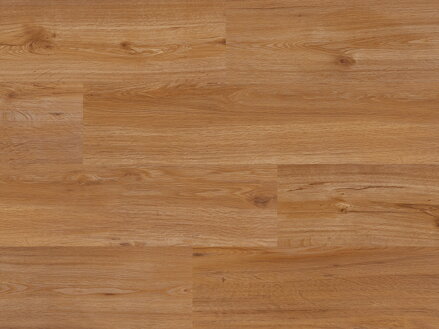 41632 - Dub Rossport CBC Acoustic