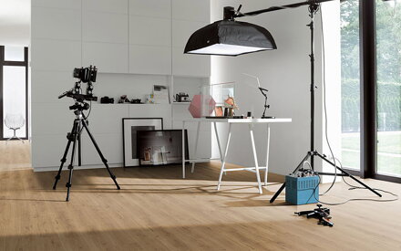 1730772 Dub Spirit prírodný