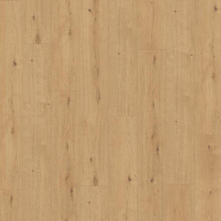 1744545 Dub Atmosphere prírodný