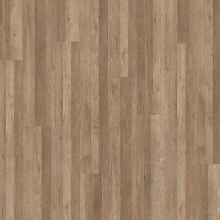 1744550 Dub Linea prírodný