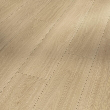 1748717 Dub Artemis prírodný  1748717 Dub Artemis prírodný