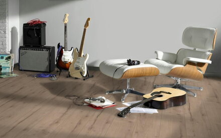 1748726 Dub Helios sivý