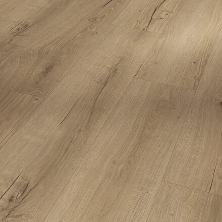 1748825 Dub Cambridge prírodný 