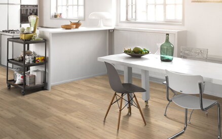 1744621 Dub brúsený