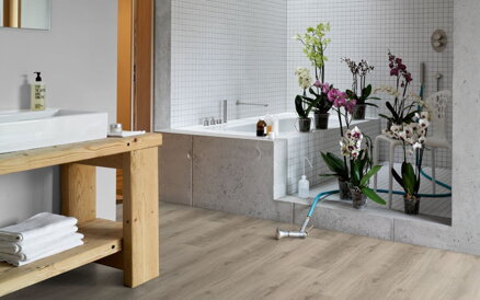 1744622 Dub Royal biely bielený