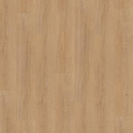 1744623 Dub Studioline prírodný
