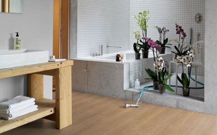 1744623 Dub Studioline prírodný