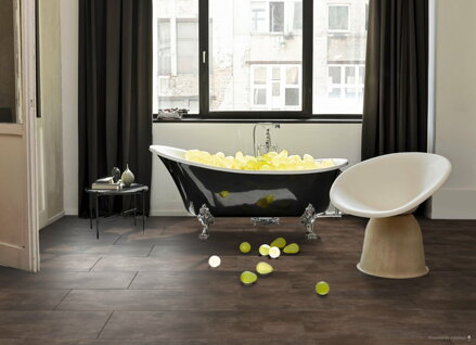 1744824 Čadič terra