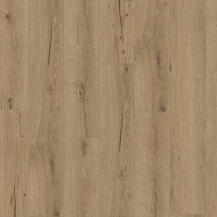 1748848 Dub Cambridge prírodný 