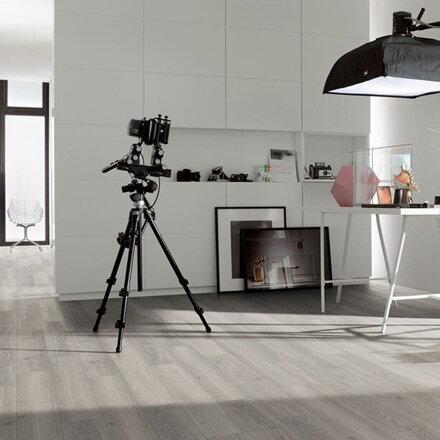 1744696 - Dub Studioline šedý svetlý 4V AC5 1744696 - Dub Studioline šedý svetlý 4V AC5