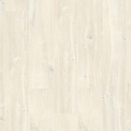 CR 3178 - Dub Charlotte biely