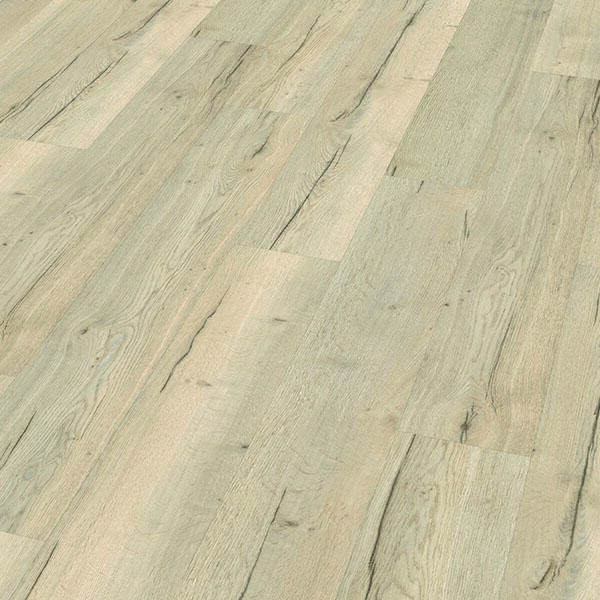 EHD013 - Dub Monfort biely