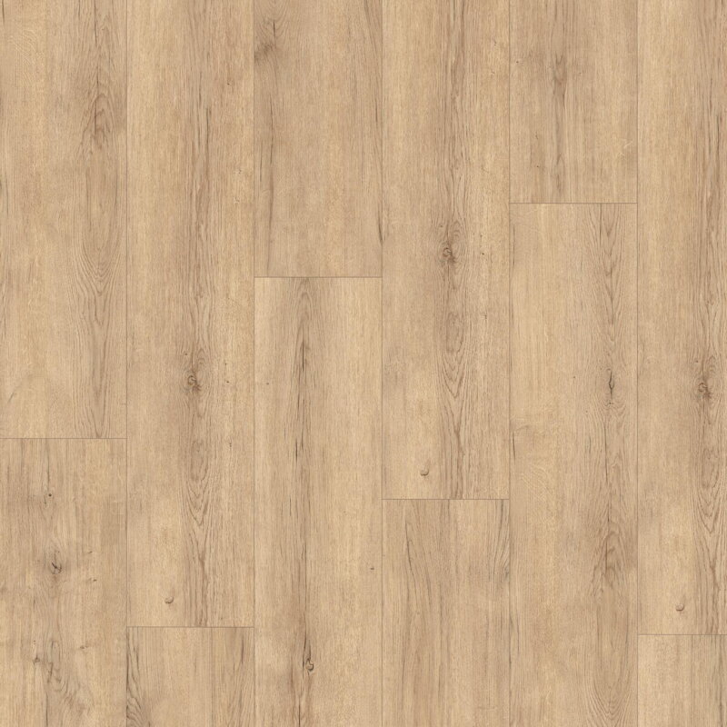 2252141 - Dub Carlin pieskový 4V