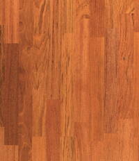 Jatoba omnis 3L