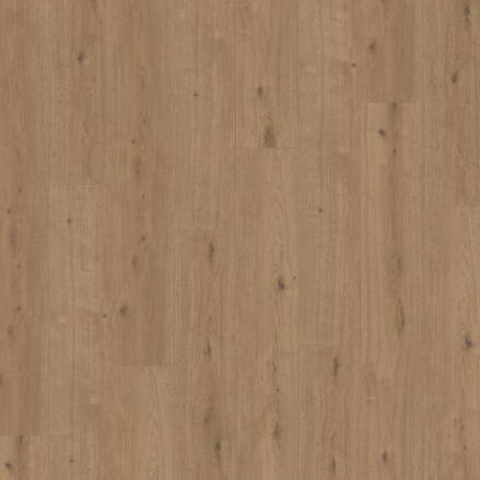 1744840 - Dub Atmosphere umber