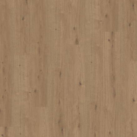 1744546 - Dub Atmosphere umber