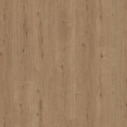1744557 - Dub Atmosphere umber