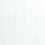 borovica biela (DRE-Cell)