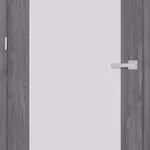  Dvere ERKADO Budleja 1