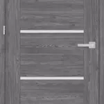 Dvere ERKADO Budleja 4 Jaseň grafit Premium