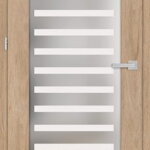 Dvere ERKADO Fragi 1