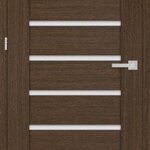 Dvere ERKADO Kamelia 1