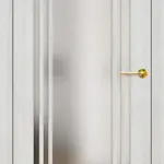 Javor šedý PREMIUM