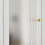 Javor šedý PREMIUM