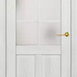 Javor šedý PREMIUM