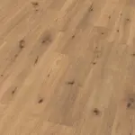 4860200 Dub Divoký prírodný