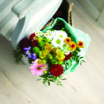 EHD013 - Dub Monfort biely