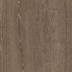 EPC007 - Dub Waltham hnedý
