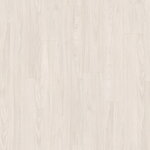 2211096 - Akácia Sheffield biela 4V