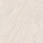 2211096 - Akácia Sheffield biela 4V