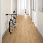 2212009 - Dub Predaia medový 4V