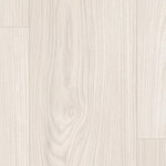 2301096 - Akácia Shefield biela 4V