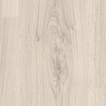 2302111 - Dub Pinot biely 4V