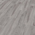 2252156 - Dub Loja svetlosivý 4V