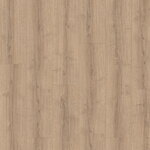 2262043 - Dub Sherman hnedý 4V