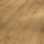 1730808 Dub Spirit prírodný