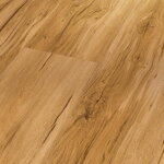 1743003 Dub Memory prírodný