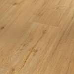 1743004 Dub prírodný