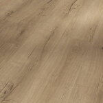 1748825 Dub Cambridge prírodný 