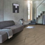 1748827 Dub Regent sivý 