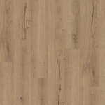 1748842 Dub Cambridge prírodný