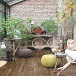 Pulse - Borovica západ slnka PUGP40075