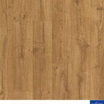 IMU 1848 - Dub klasický prírodný