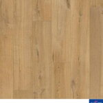 IMU 1855 - Dub jemný prírodný